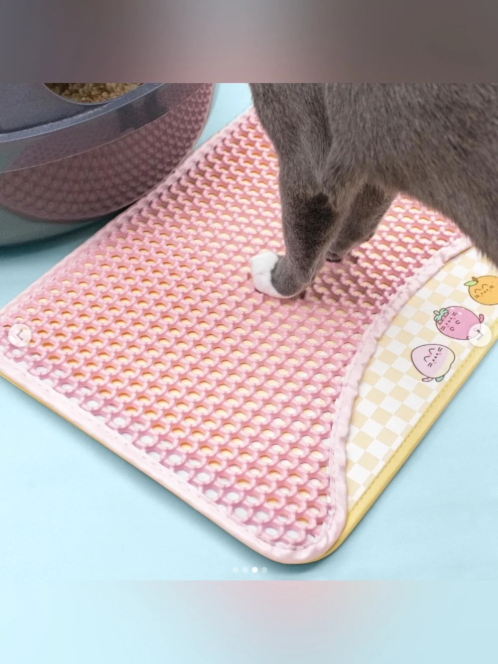 ✨NWOT✨ Pusheen Pink Cat Litter Mat with Fruit Character Trim